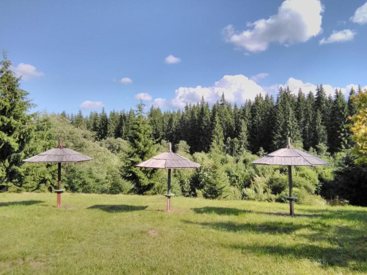 Casa Paltin Vila Si Cabane Poiana Stampei 外观 照片