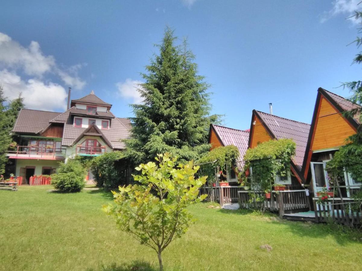 Casa Paltin Vila Si Cabane Poiana Stampei 外观 照片