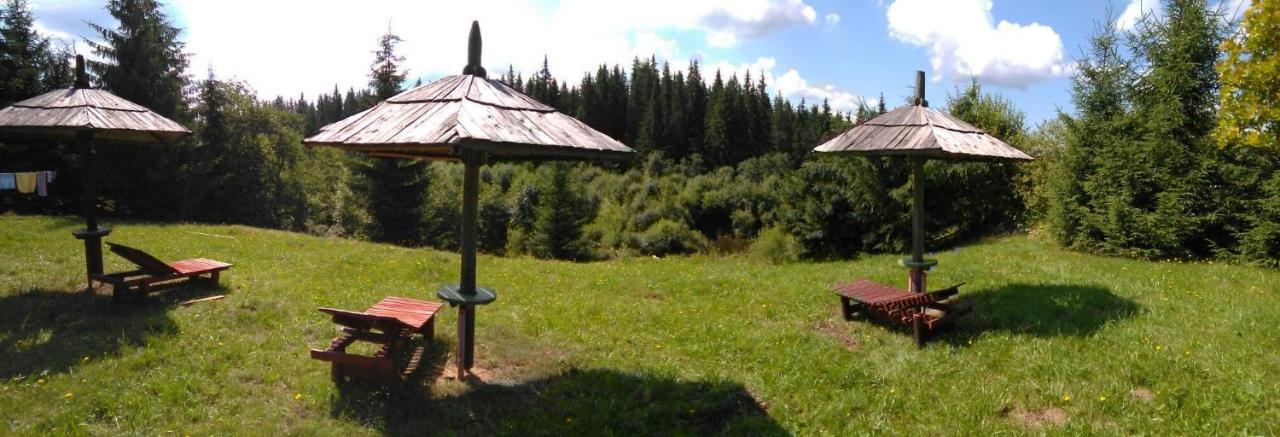 Casa Paltin Vila Si Cabane Poiana Stampei 外观 照片