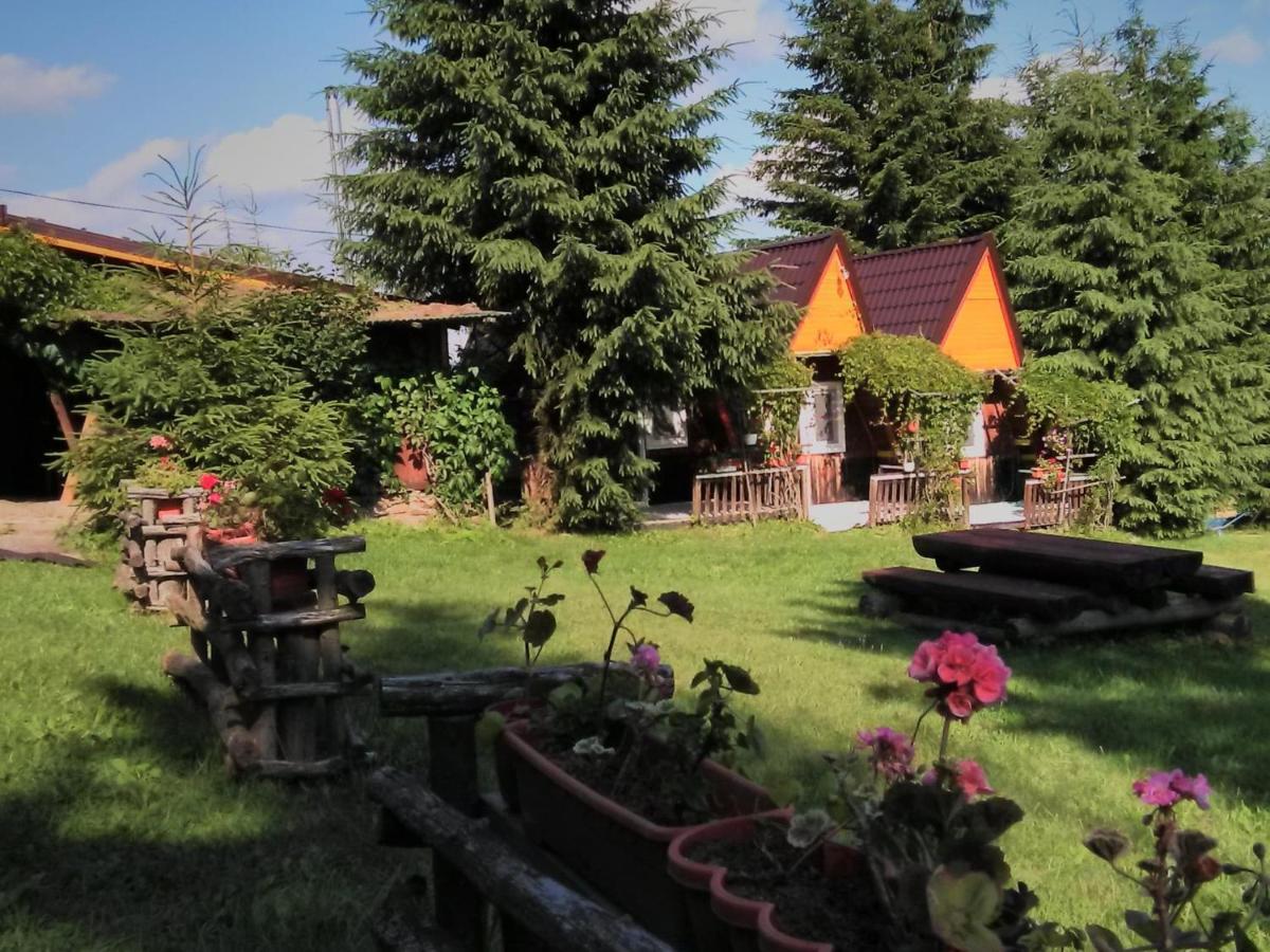Casa Paltin Vila Si Cabane Poiana Stampei 外观 照片