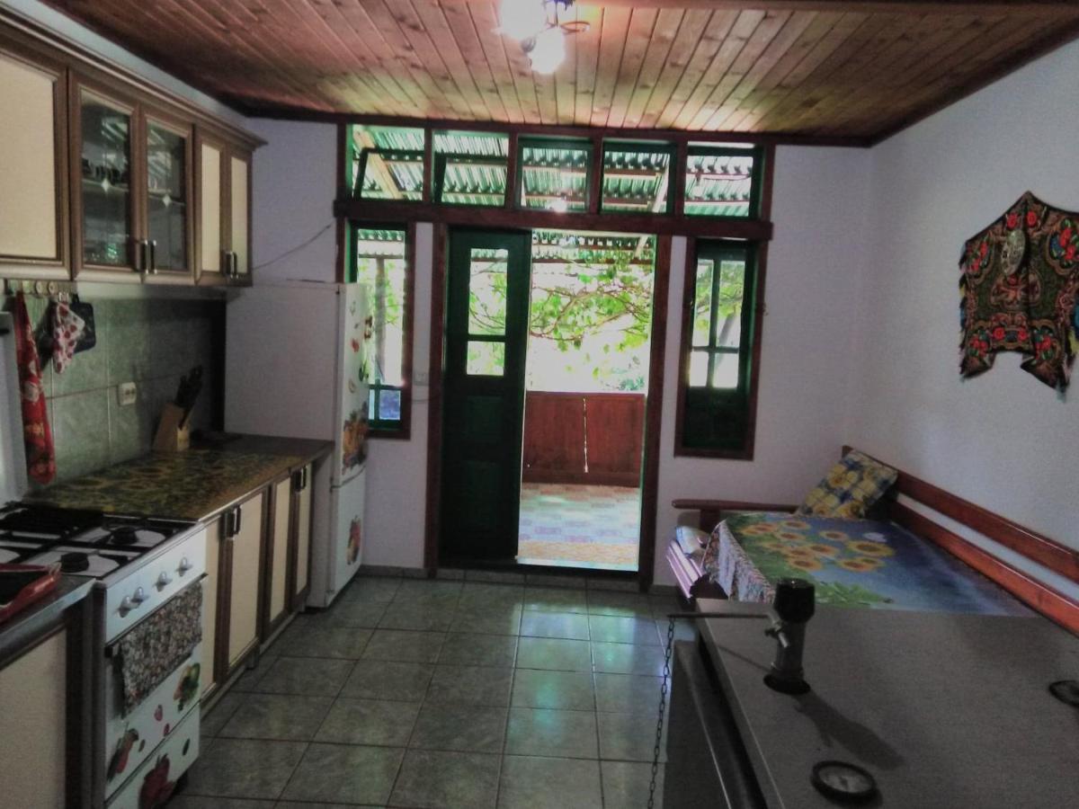 Casa Paltin Vila Si Cabane Poiana Stampei 外观 照片