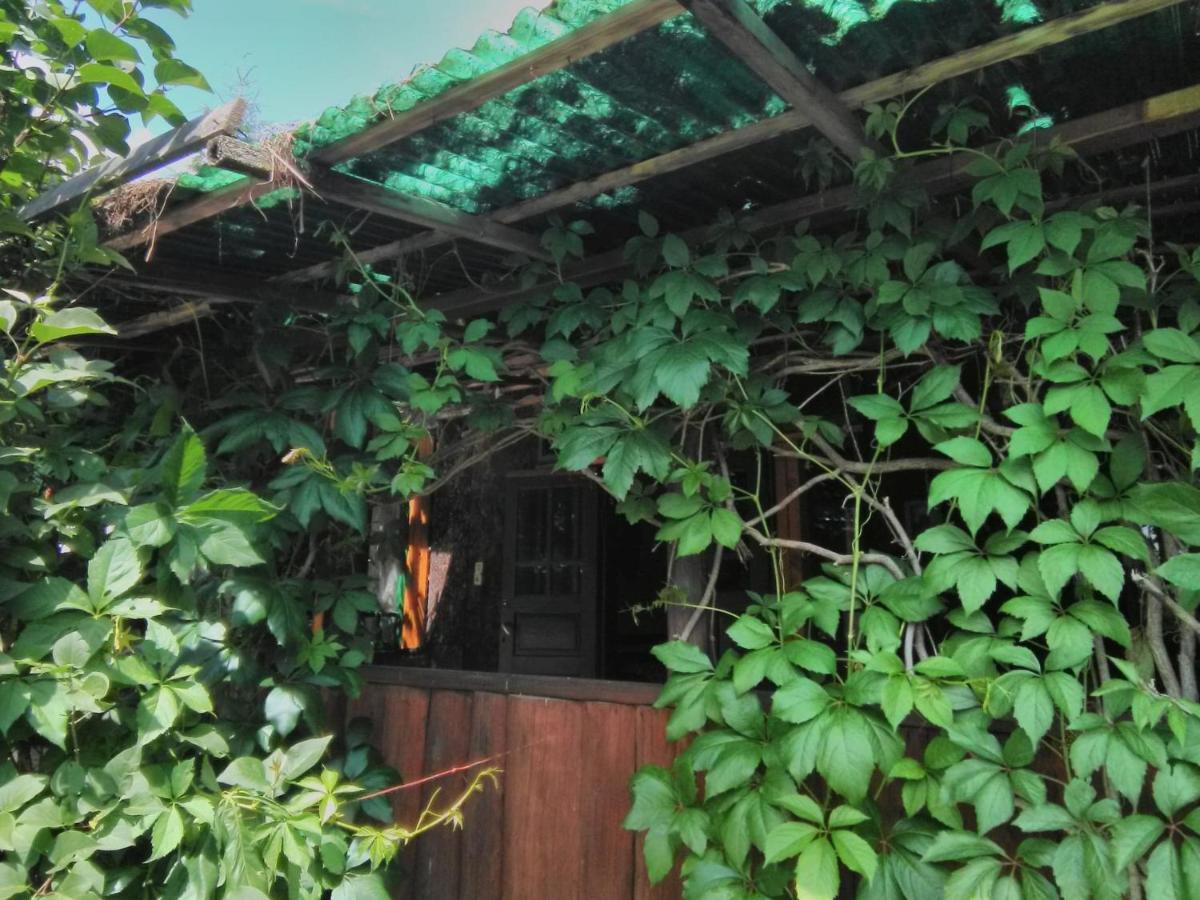 Casa Paltin Vila Si Cabane Poiana Stampei 外观 照片