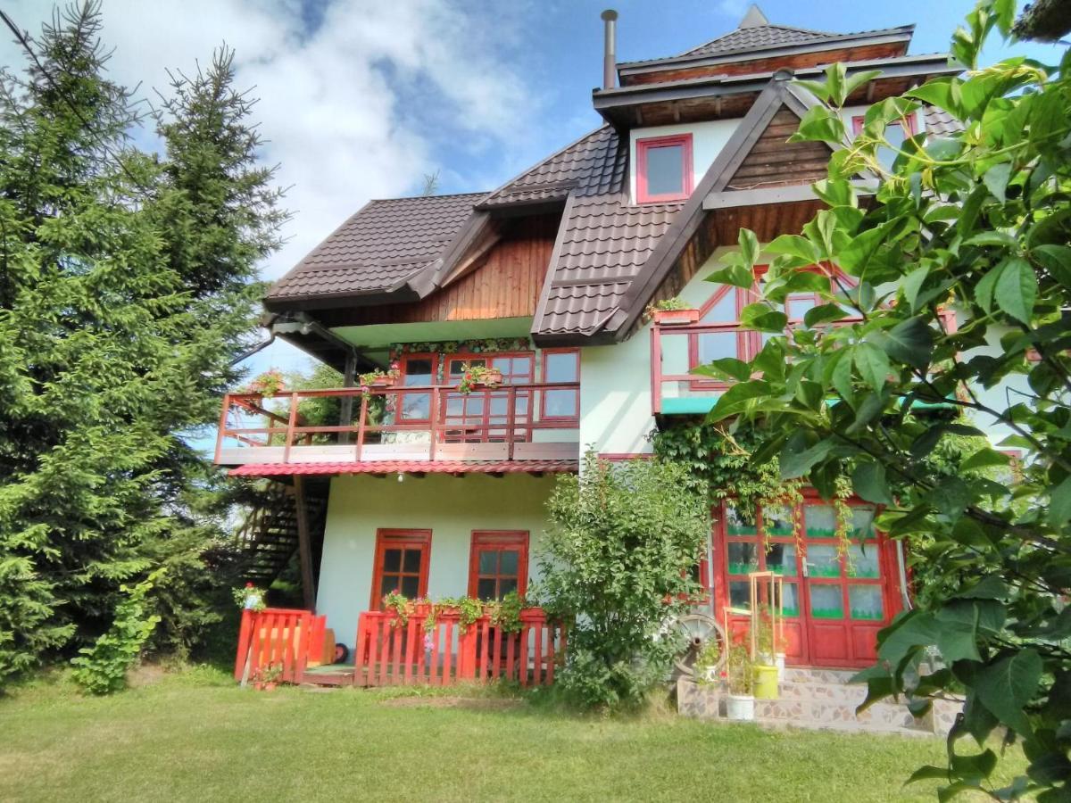 Casa Paltin Vila Si Cabane Poiana Stampei 外观 照片