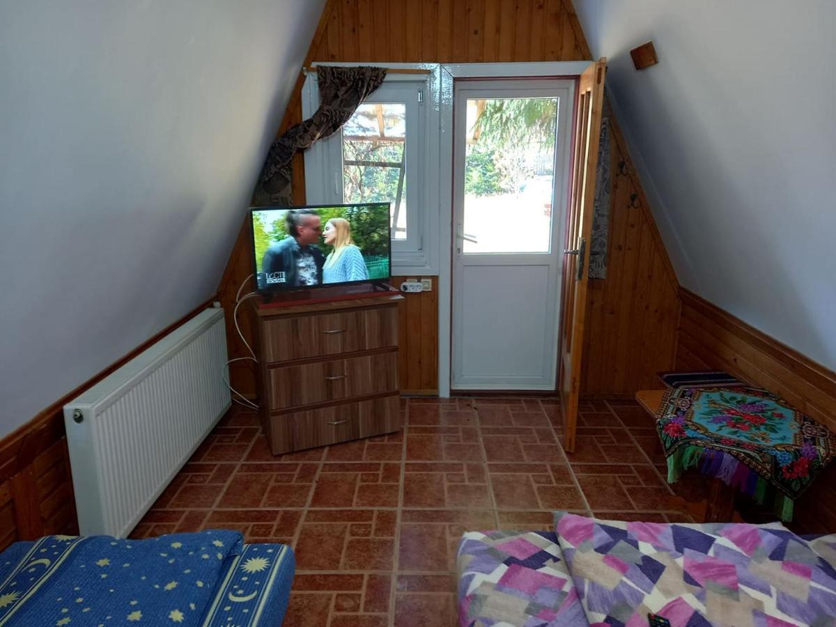 Casa Paltin Vila Si Cabane Poiana Stampei 外观 照片