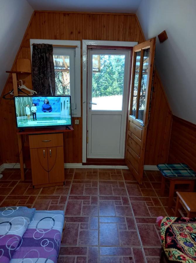 Casa Paltin Vila Si Cabane Poiana Stampei 外观 照片