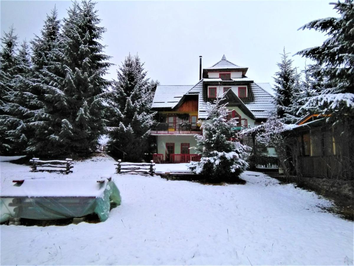 Casa Paltin Vila Si Cabane Poiana Stampei 外观 照片