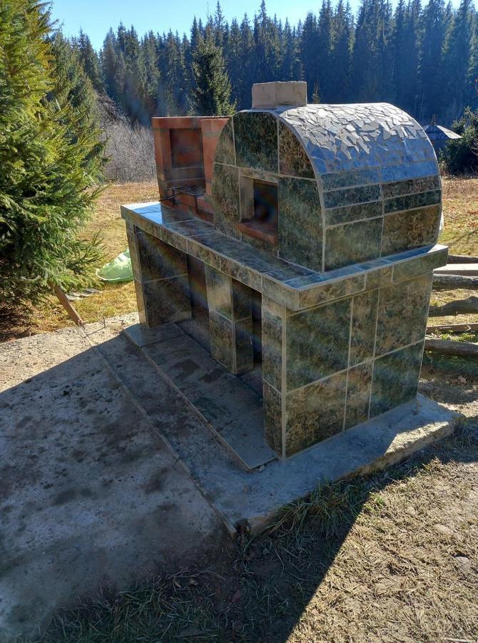Casa Paltin Vila Si Cabane Poiana Stampei 外观 照片