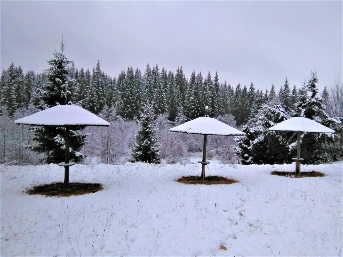 Casa Paltin Vila Si Cabane Poiana Stampei 外观 照片