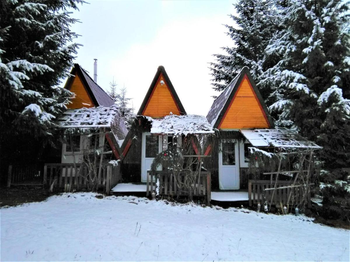 Casa Paltin Vila Si Cabane Poiana Stampei 外观 照片