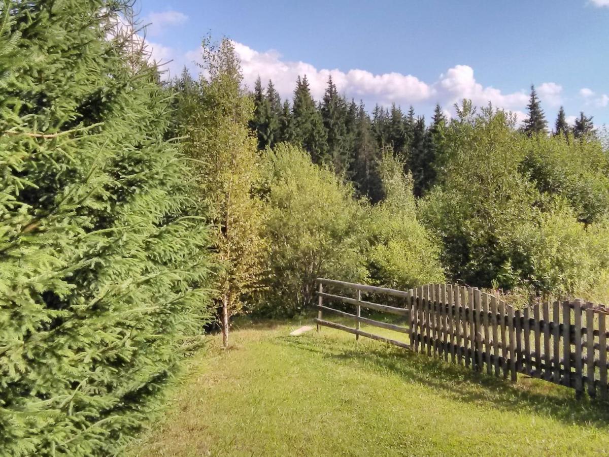 Casa Paltin Vila Si Cabane Poiana Stampei 外观 照片