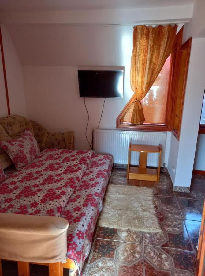 Casa Paltin Vila Si Cabane Poiana Stampei 外观 照片